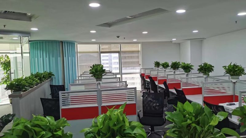 入职背调：如何构建标准和规范，为企业保驾护航**