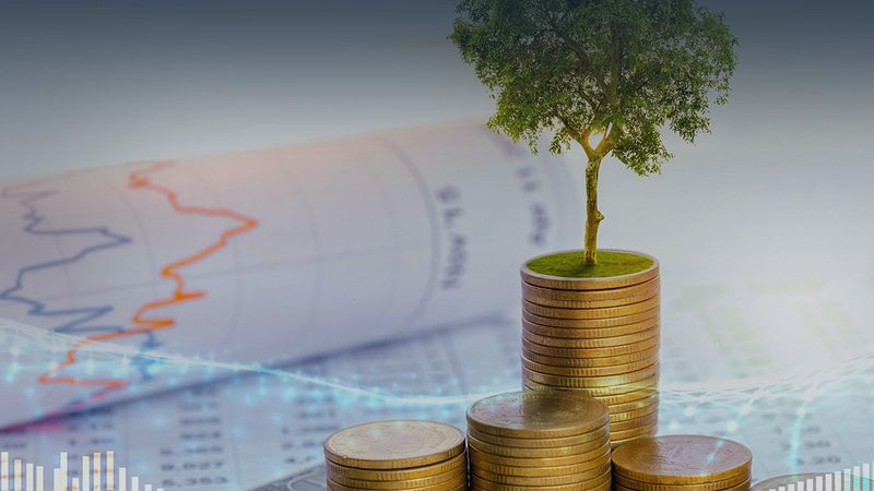商业计划书可行性分析报告：企业决策的“风向标